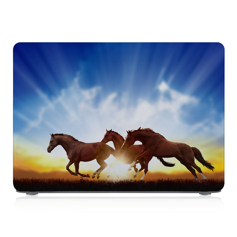 MAC-ASORTED01-SUNRISEHORSES-SHOW-1
