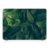 MAC-SEASONS-09PLANTS05